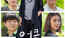 韩国电视剧大全免费,穿越时空的情感之旅